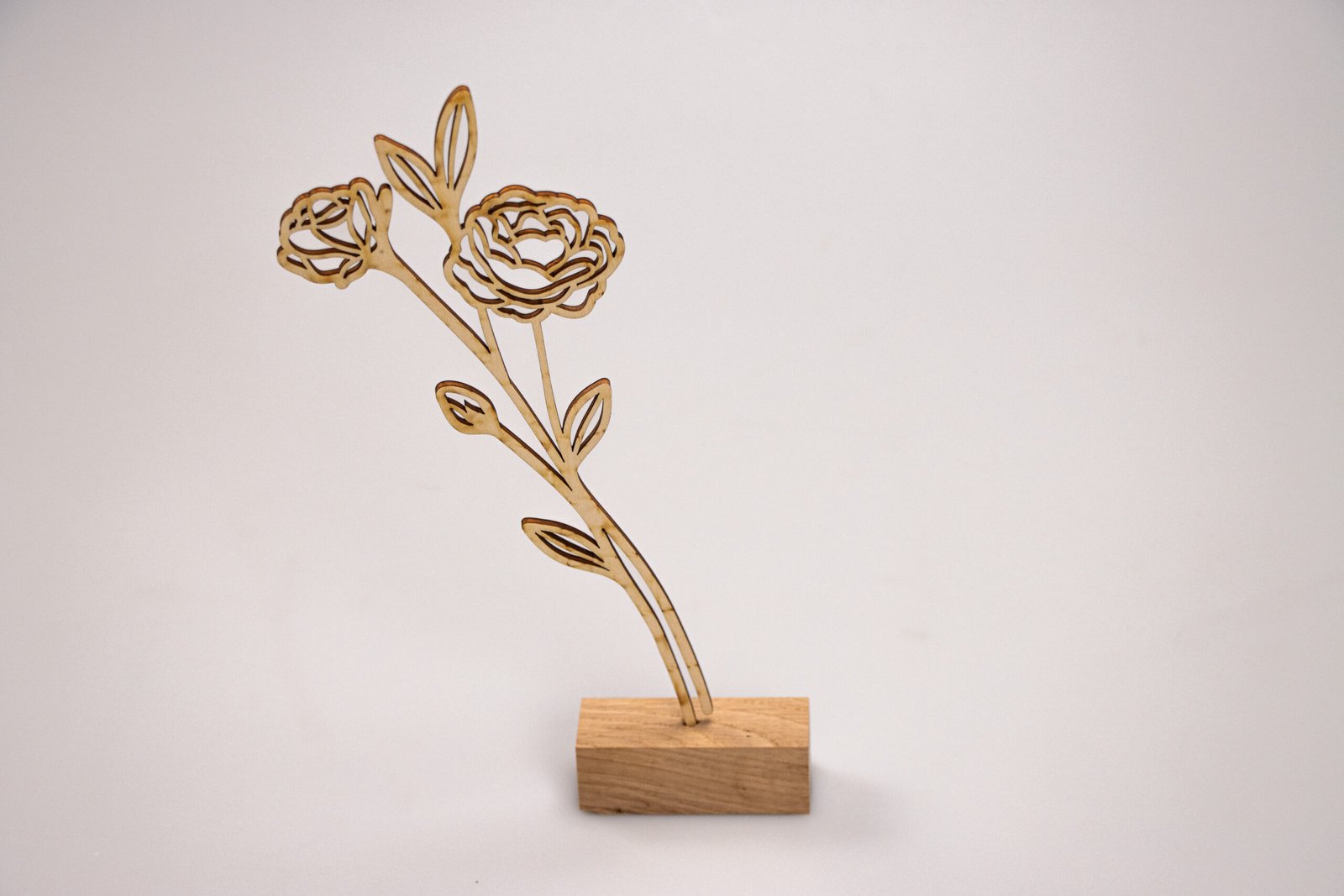 Geboortebloem - Juni (roos)